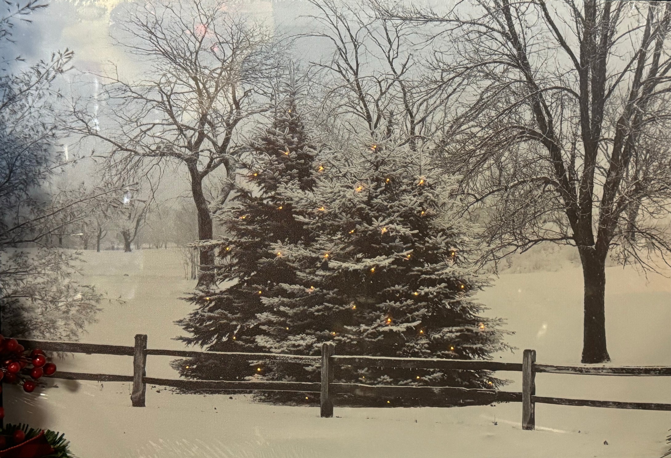 Black & White Snowy Pines Portrait with Battery Lights