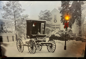 Black & White Christmas Carriage Portrait with Battery Lights